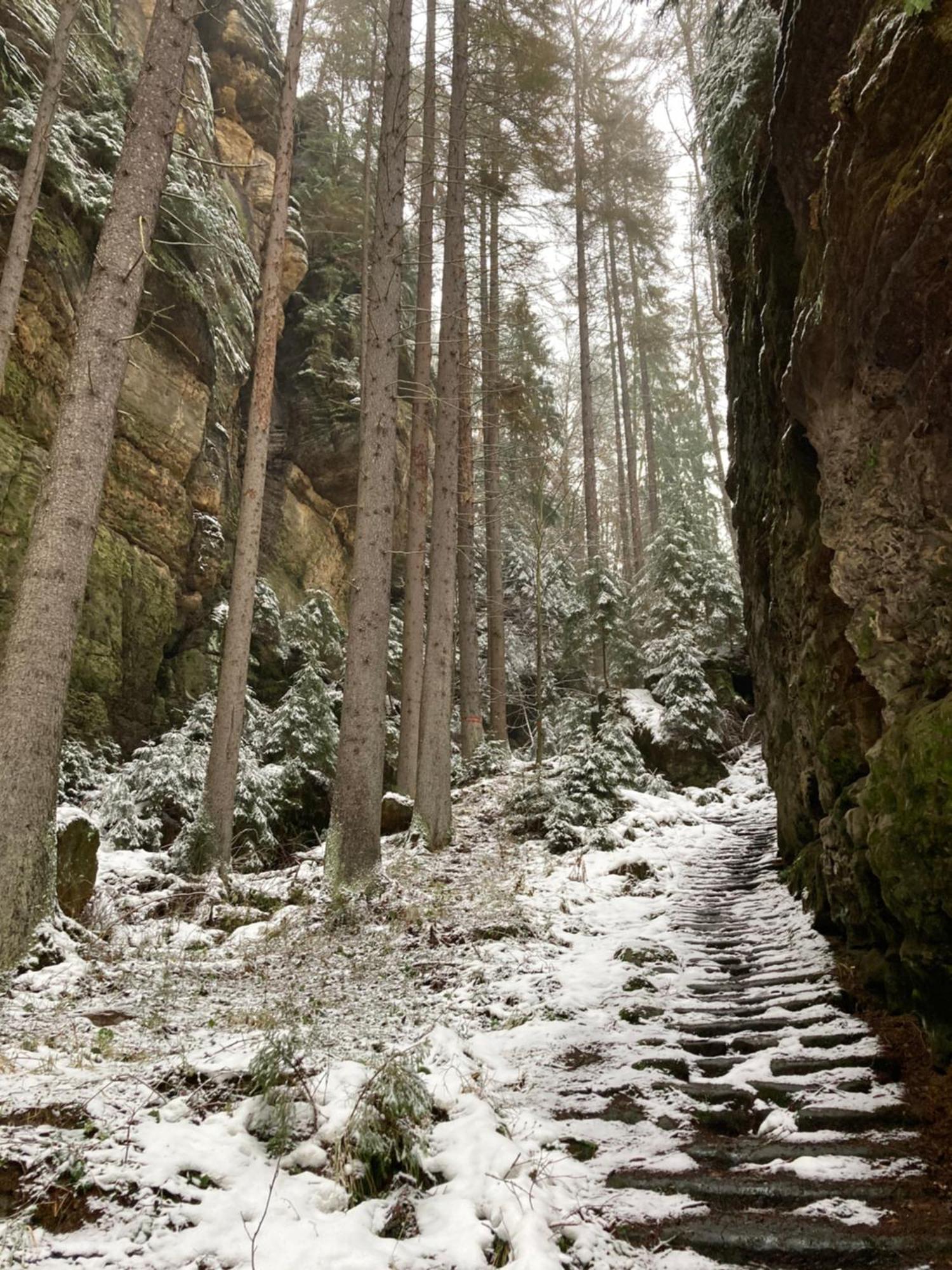 Pension Hofberg Етршиховице Экстерьер фото